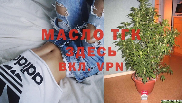 индика Дмитровск