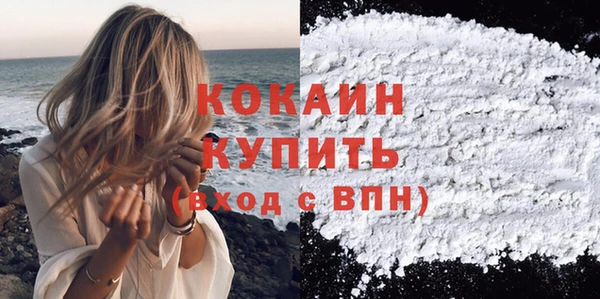индика Дмитровск