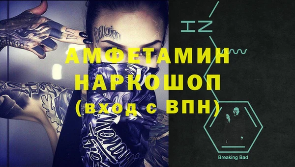 шишки Володарск