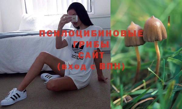шишки Володарск