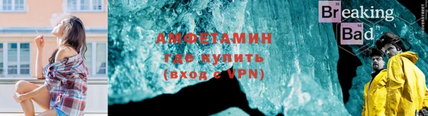 шишки Володарск